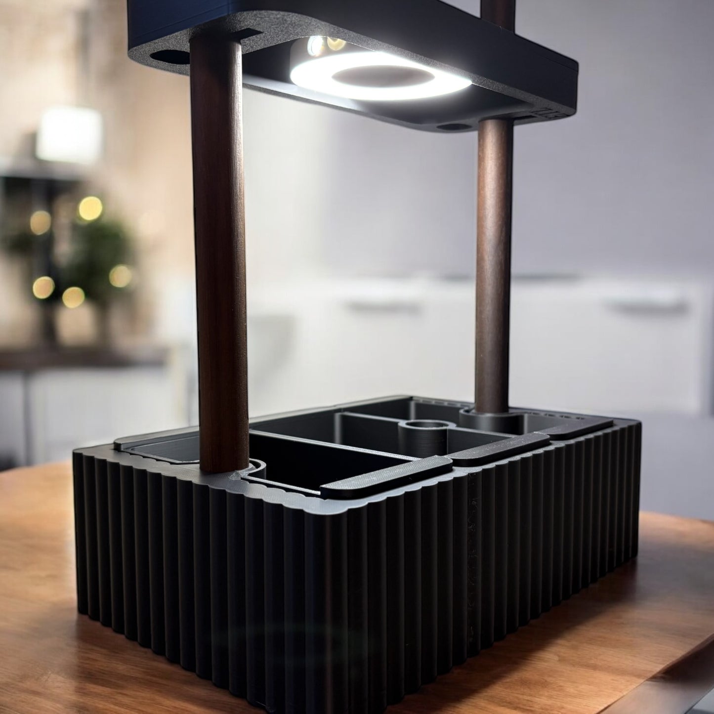 Hydroponic Planter🌱