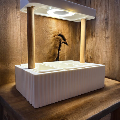 Hydroponic Planter🌱