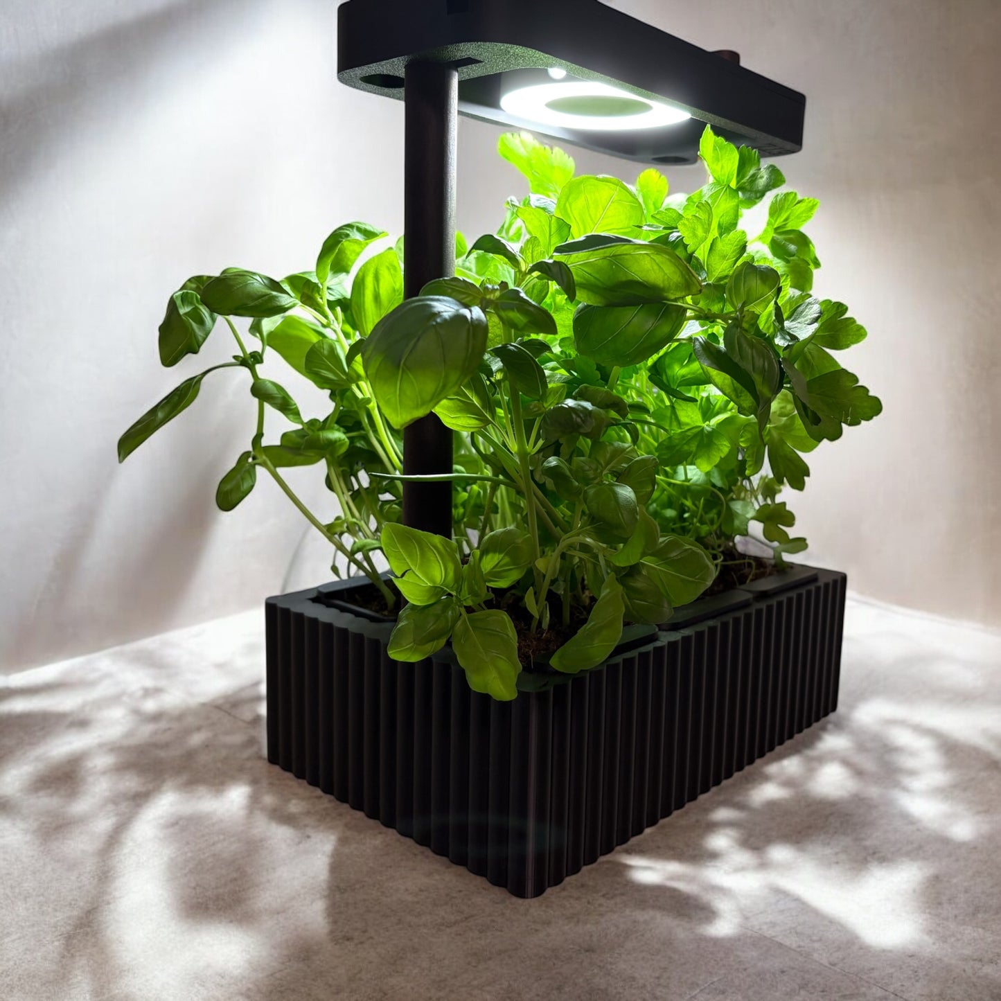 Hydroponic Planter🌱