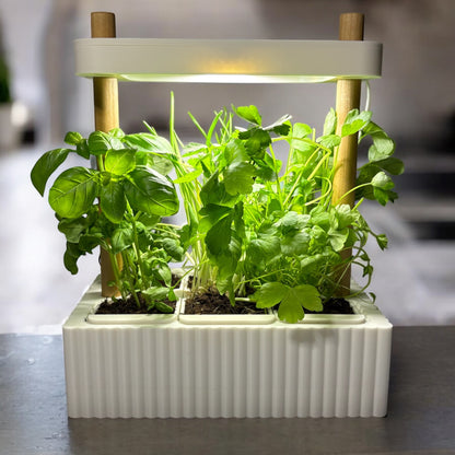 Hydroponic Planter🌱